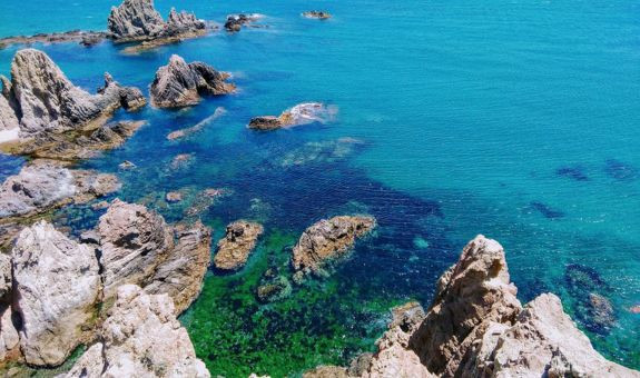 Salida de campo: Cabo de Gata